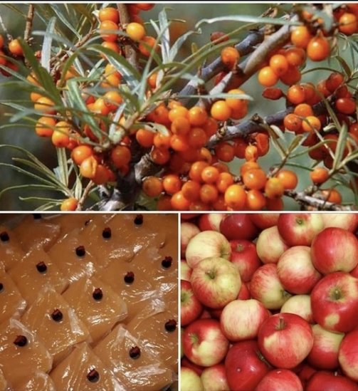 Naturalios-obuoliu-sultys-su-saltalankiu-5-L