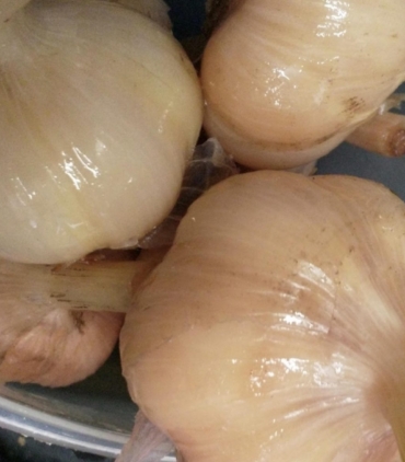 rauginti-cesnakai-scaled