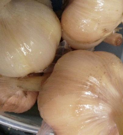 rauginti-cesnakai-scaled